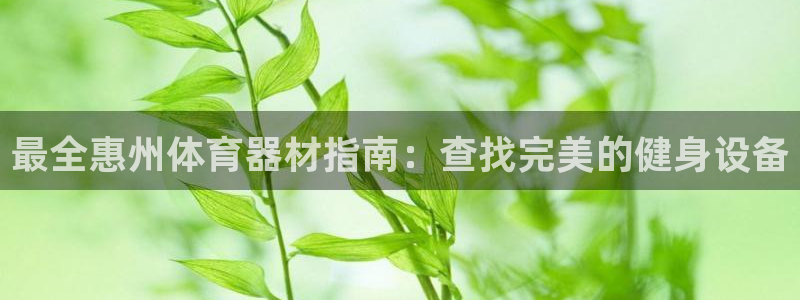 杏宇天下是不是复仇的意思：最全惠州体育器材指南：查找