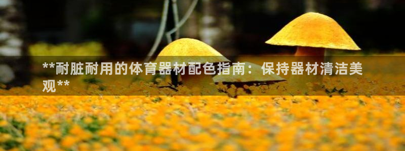 杏宇娱乐老板是谁：**耐脏耐用的体育器材配色指南：保