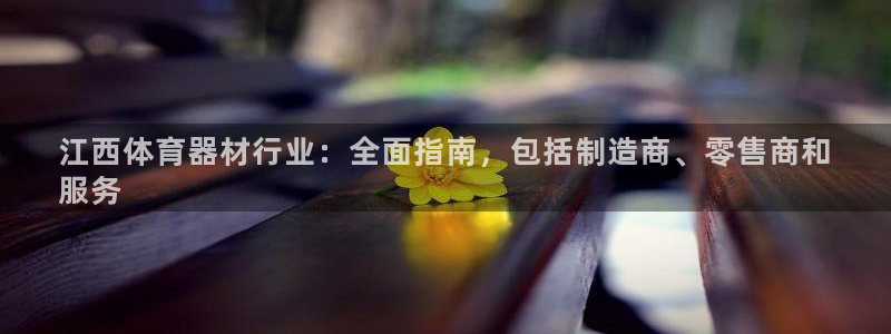 杏宇平台网址：江西体育器材行业：全面指南，包括制造商