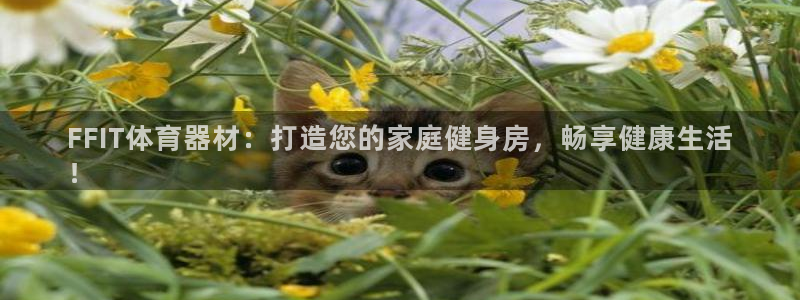 杏宇三国官网：FFIT体育器材：打造您的家庭健身房，