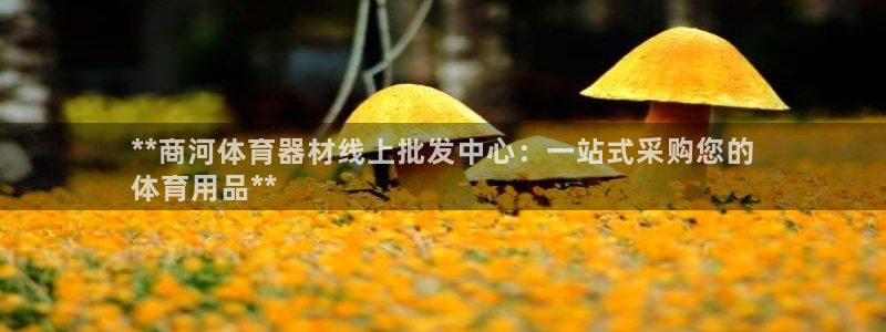 杏宇登场的意思：**商河体育器材线上批发中心：一站式