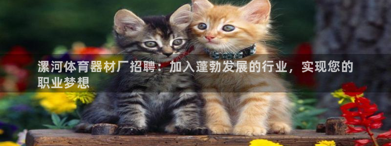 杏宇平台开户联4.8.7.7.8.4他系稳定吗