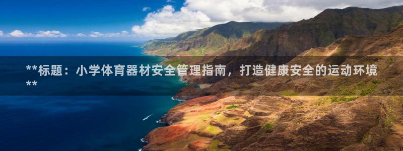 杏宇天下的微信名字好吗：**标题：小学体育器材安全管