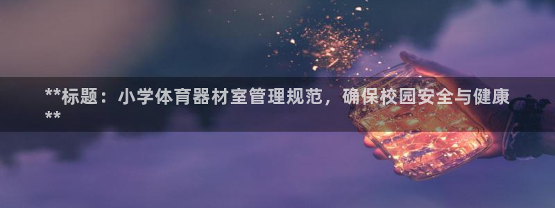 杏宇集团王大聪：**标题：小学体育器材室管理规范，确保校园安