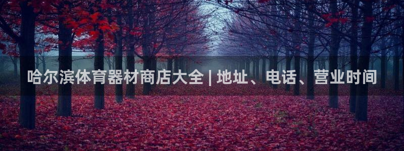 杏宇平台合作 585341：哈尔滨体育器材商店大全 