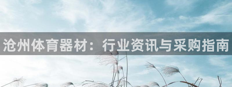 杏宇娱乐app下载安装最新版：沧州体育器材：行业资讯